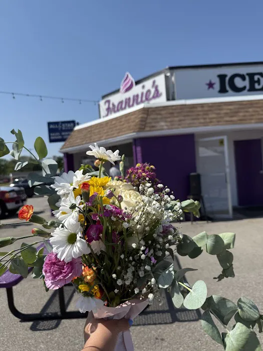 Frannie's Ice Cream Picture 4
