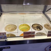 Hershey Ice Cream Springfield ico