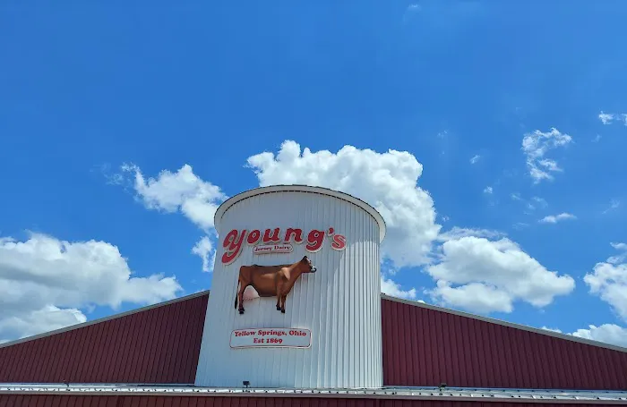 Young's Jersey Dairy Picture 4
