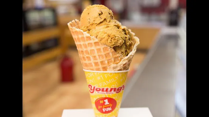 Young's Jersey Dairy Picture 1