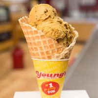 Young's Jersey Dairy ico