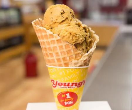 Young's Jersey Dairy