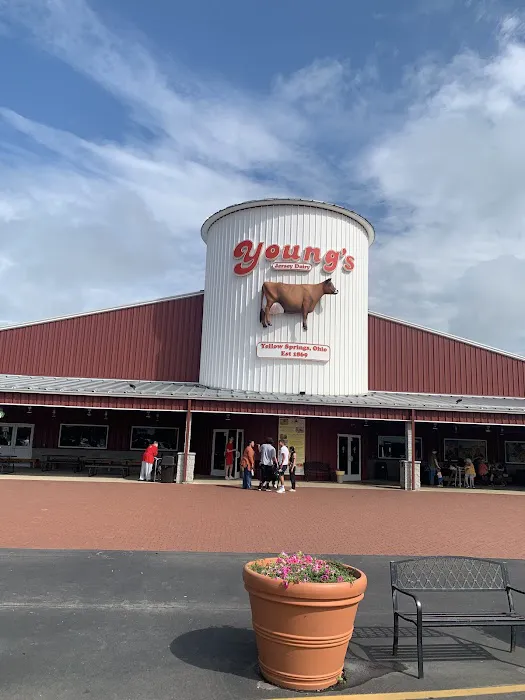 Young's Jersey Dairy Picture 6