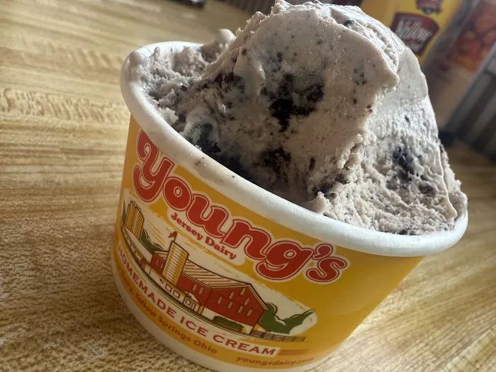 Young's Jersey Dairy Picture 10