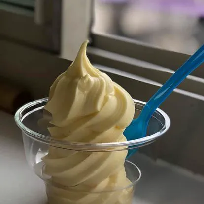 Dixie Dairy Dreem Picture 6