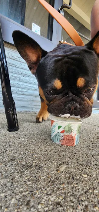 Tom & Dot's Gelato Picture 8