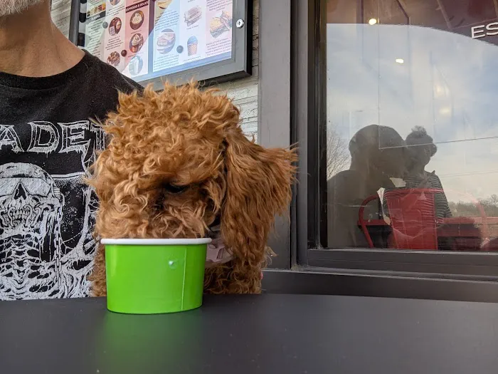 Tom & Dot's Gelato Picture 9