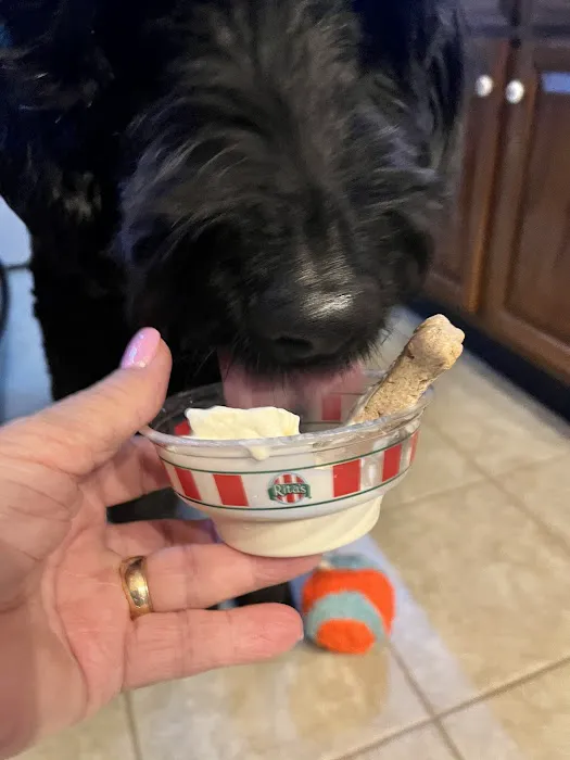 Rita's Italian Ice & Frozen Custard Picture 8