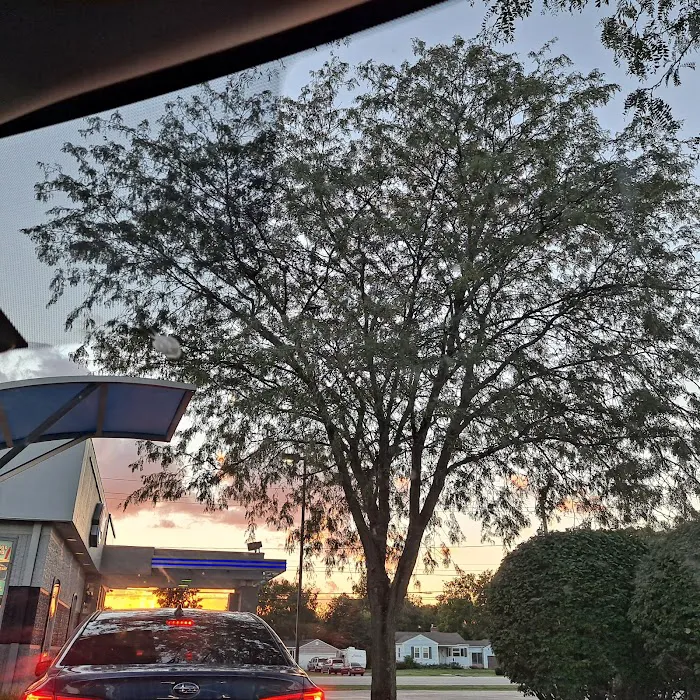 Dairy Queen (Treat) Picture 10