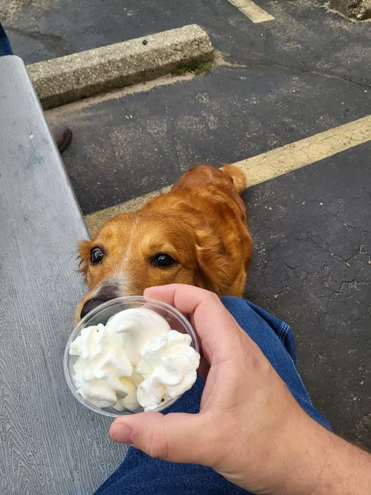 Dairy Twist Picture 6