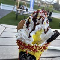 The Milkshake Spot ico
