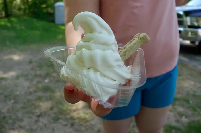 Whippy Dip Picture 8