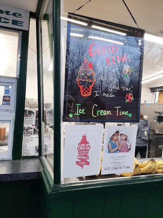 Ice Cream Time Picture 7