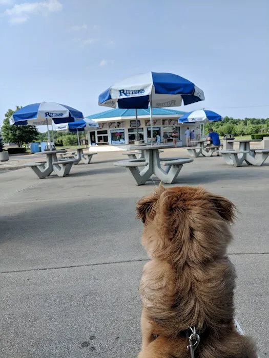 Ritters Frozen Custard Brighton Picture 6