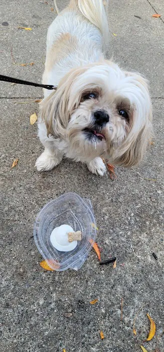 Dairy Queen (Treats and Cakes) Picture 5