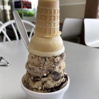 Independent Dairy Inc. ico