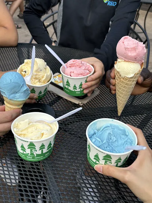 North Shore Ice Cream Picture 3