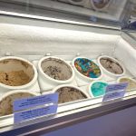 FROZEN TREE ICE CREAM
