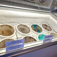 FROZEN TREE ICE CREAM ico