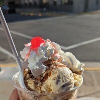 Sweet n' Saulty Ice Cream Parlor ico
