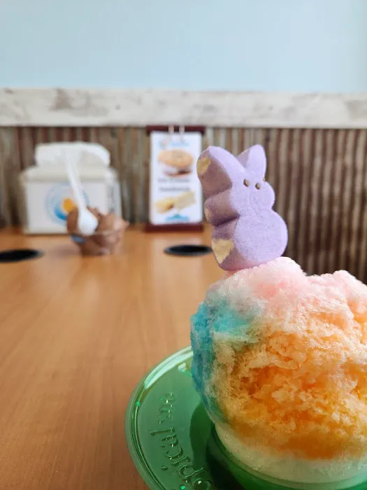Tropical Sno Picture 1
