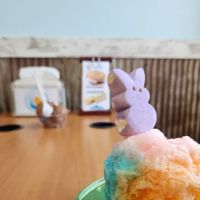 Tropical Sno ico