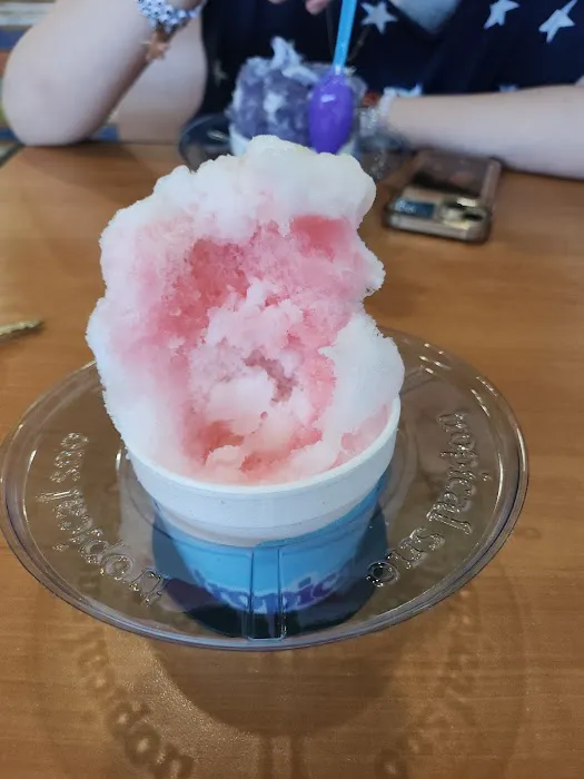 Tropical Sno Picture 2