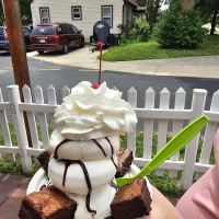 Frogg's Ice Cream ico