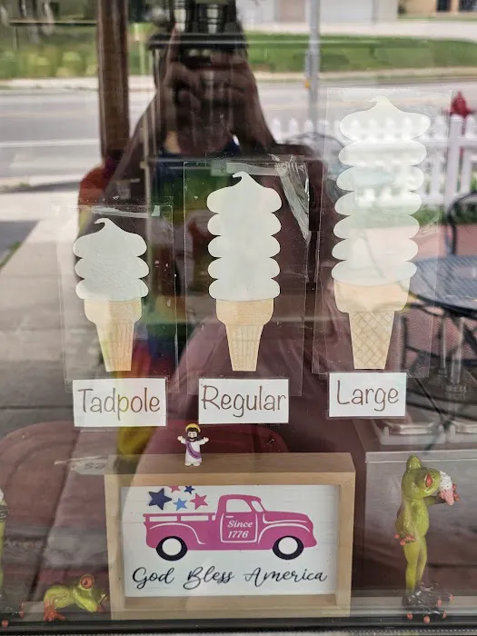 Frogg's Ice Cream Picture 9