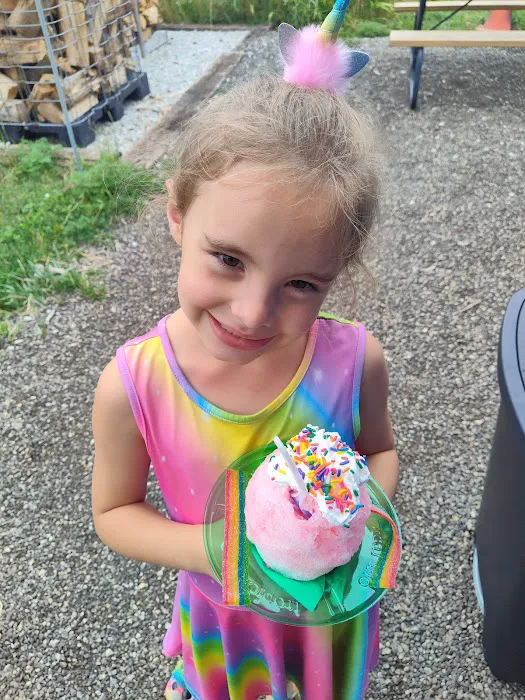 Tropical Sno Picture 4