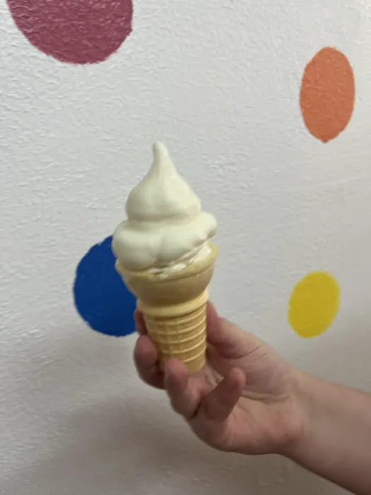 Fulton Ice Cream Shop Picture 7