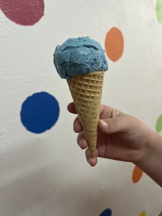 Fulton Ice Cream Shop Picture 6