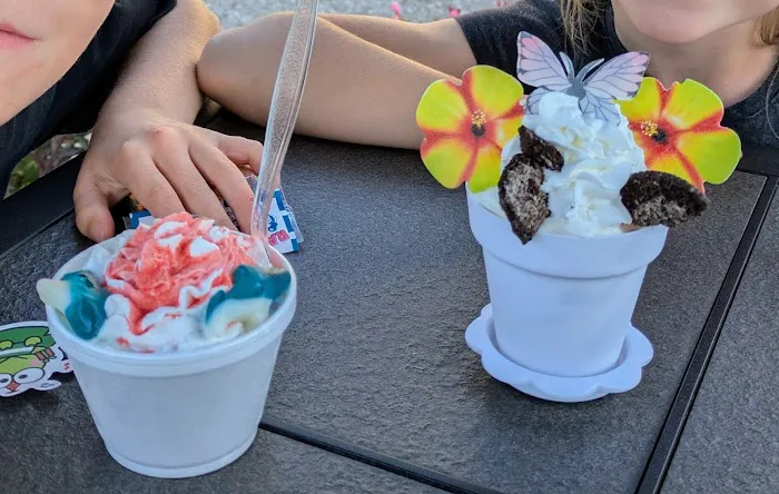 Salt Spring Ice Cream Picture 3