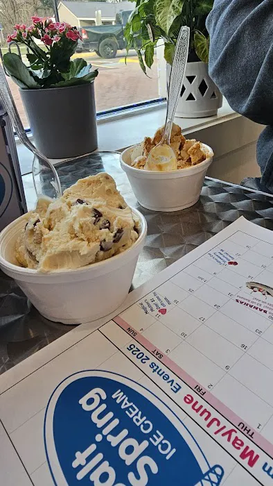 Salt Spring Ice Cream Picture 8