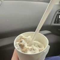 Woody's Twisters ico