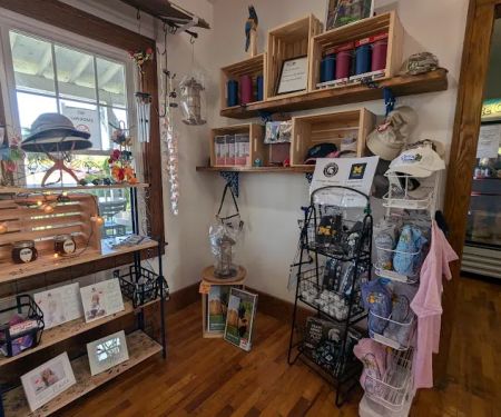 Chillu2019n Parrot Ice Cream Shop