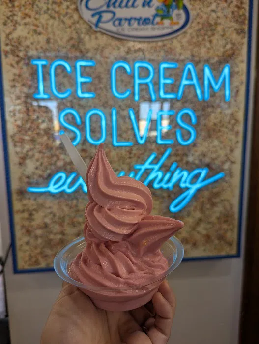 Chill’n Parrot Ice Cream Shop Picture 6
