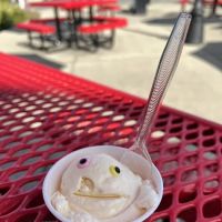 Mark's Homemade Ice Cream ico
