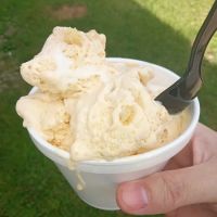 Green Camp Dairy Bar ico