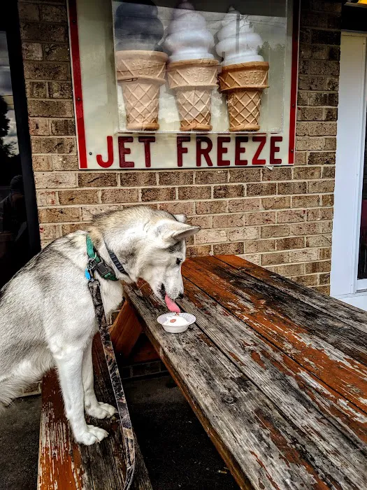 Jet Freeze Picture 7