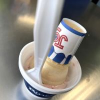Ritter's Frozen Custard - Beavercreek ico