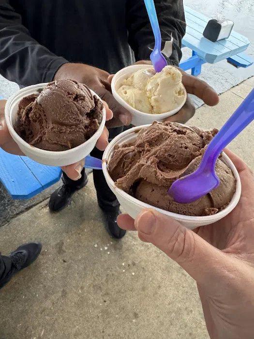 Daily Scoop Picture 4