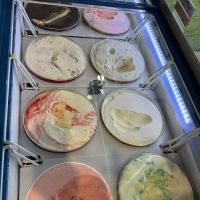 GORED ice cream and shakes ico