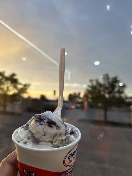 GORED ice cream and shakes Picture 4