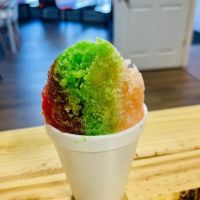 Ludington Snow Company ico