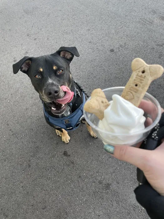 Mickey's Dairy Twist Picture 10