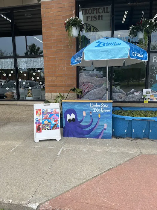 Under Sea ice cream Picture 2