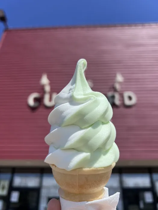 Custard Time Picture 3
