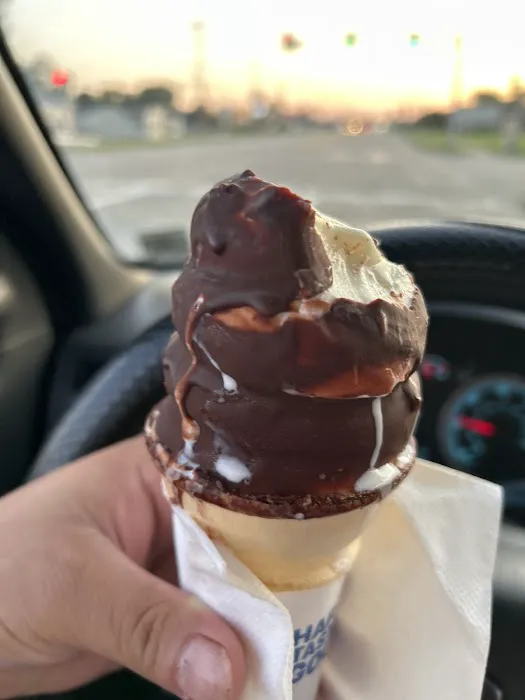 Dairy Queen (Treat) Picture 10