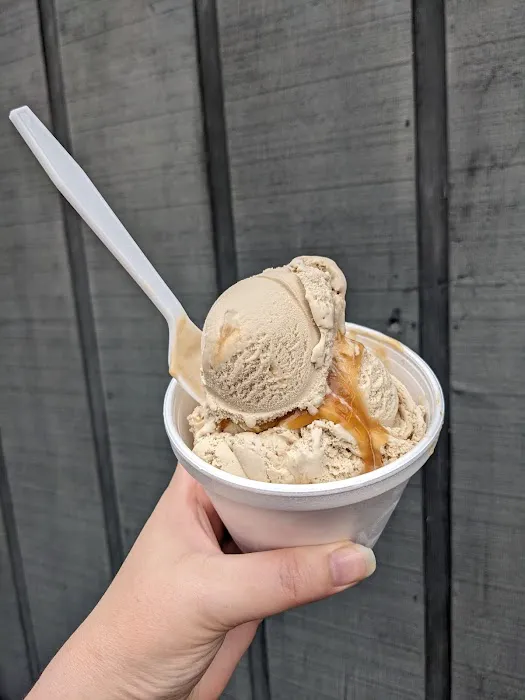Mama Lupo's Homemade Ice Cream Picture 2